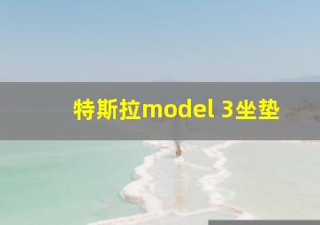 特斯拉model 3坐垫